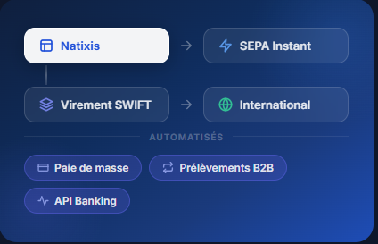 Flux et paiements spécifiques corporate